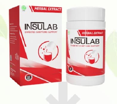 Insulab